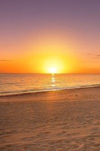 开云数据-泰达客场绝平苏宁，争取保级