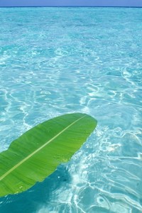 云开体育入口-阿森纳客场2-0击败南安普顿，继续保持胜利势头