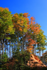 kaiyun-马德里竞技取得连胜，稳坐积分榜首！