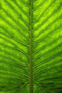 kaiyun-马德里竞技取得连胜，稳坐积分榜首！