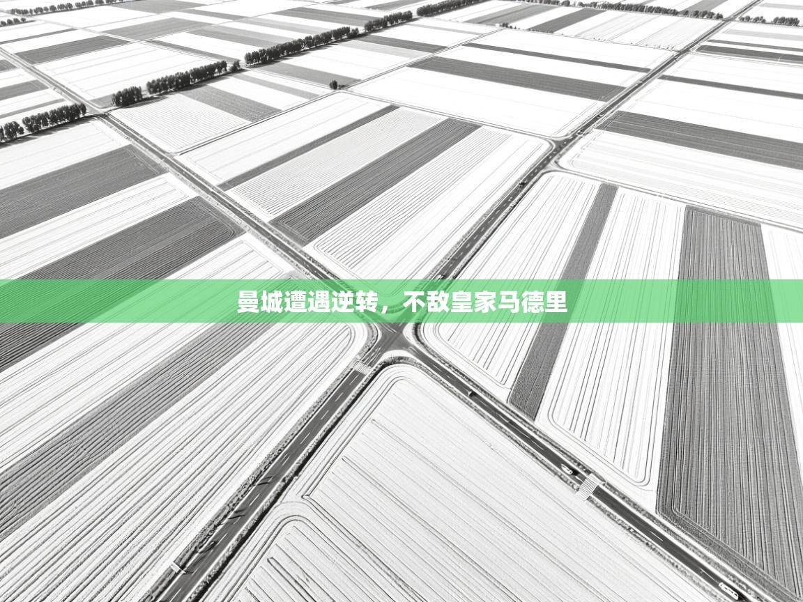 开云体育英文版入口-曼城遭遇逆转，不敌皇家马德里  第3张