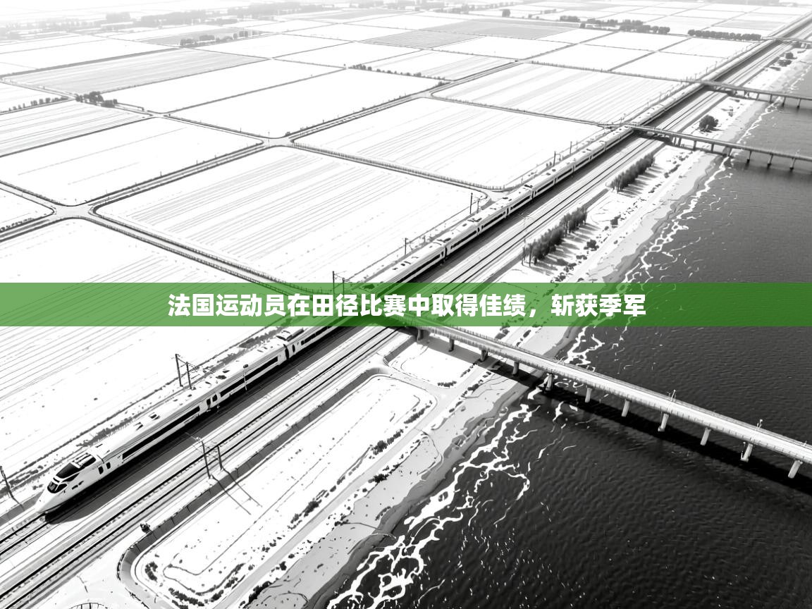 开云体育无法登录解决方案-法国运动员在田径比赛中取得佳绩，斩获季军