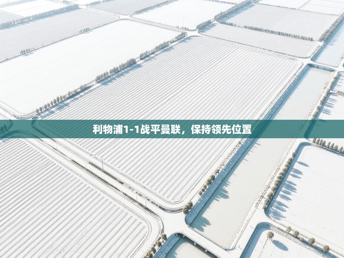 云开体育官方app下载-利物浦1-1战平曼联，保持领先位置  第4张