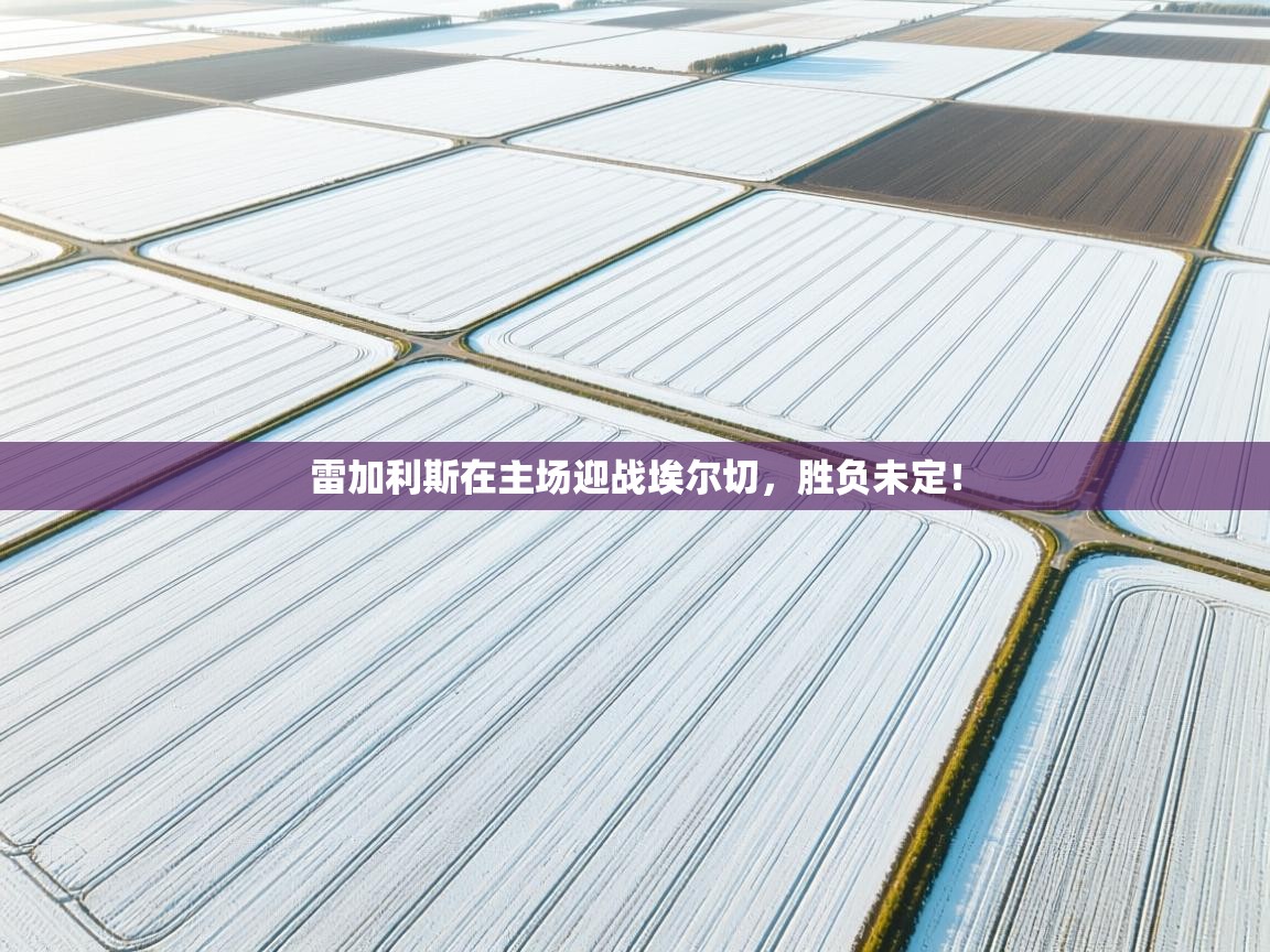 开云体育客服在线咨询-雷加利斯在主场迎战埃尔切，胜负未定！  第2张