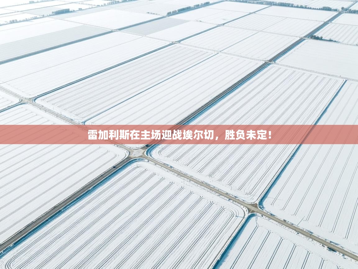 开云体育客服在线咨询-雷加利斯在主场迎战埃尔切，胜负未定！  第3张