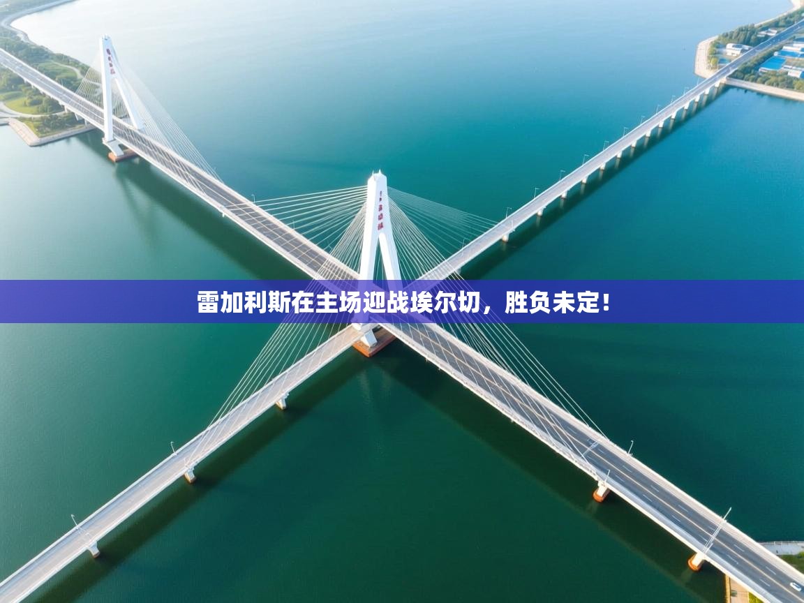 开云体育客服在线咨询-雷加利斯在主场迎战埃尔切，胜负未定！  第4张