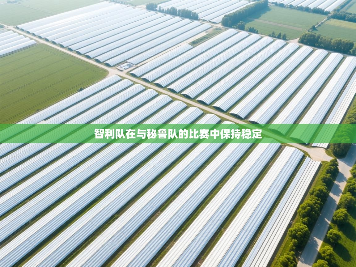 开云体育热门赛事直达-智利队在与秘鲁队的比赛中保持稳定  第1张