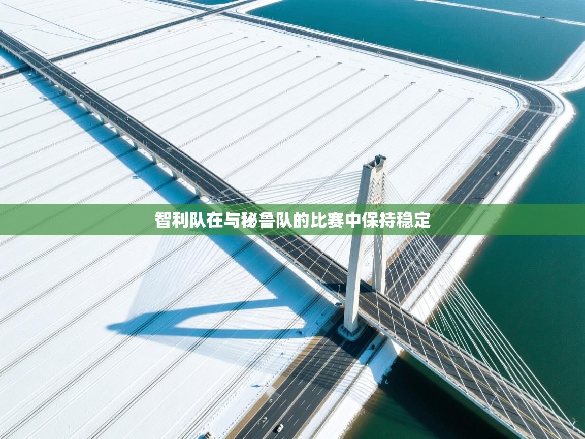 开云体育热门赛事直达-智利队在与秘鲁队的比赛中保持稳定  第3张