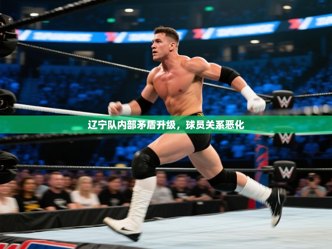 -辽宁队内部矛盾升级，球员关系恶化  第3张