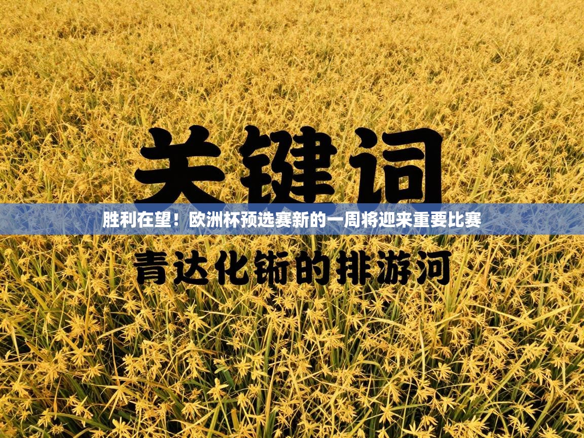 开云体育在线网址-胜利在望！欧洲杯预选赛新的一周将迎来重要比赛  第2张