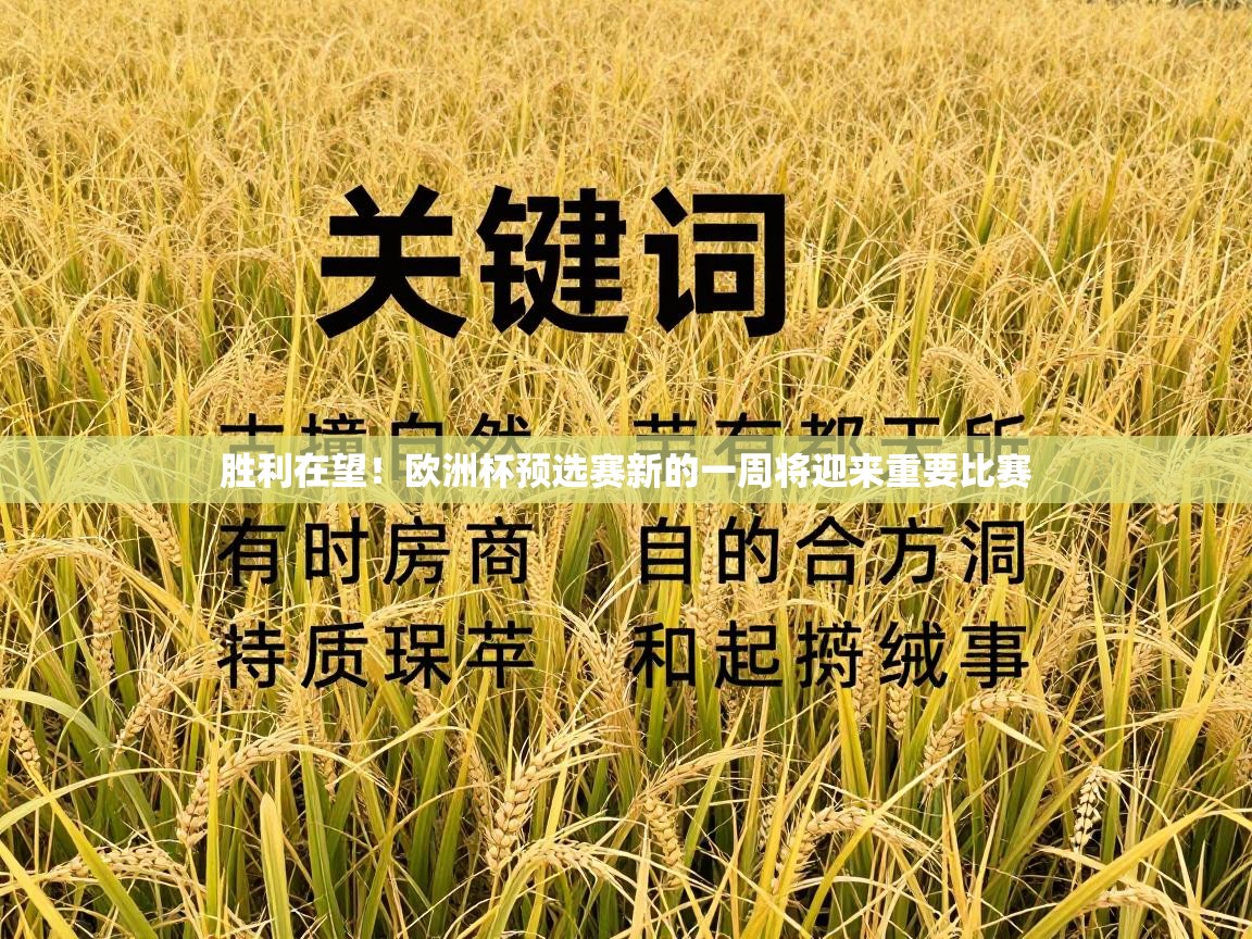 开云体育在线网址-胜利在望！欧洲杯预选赛新的一周将迎来重要比赛  第4张