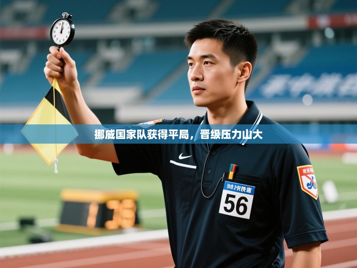 开云体育忘记密码找回-挪威国家队获得平局，晋级压力山大  第1张