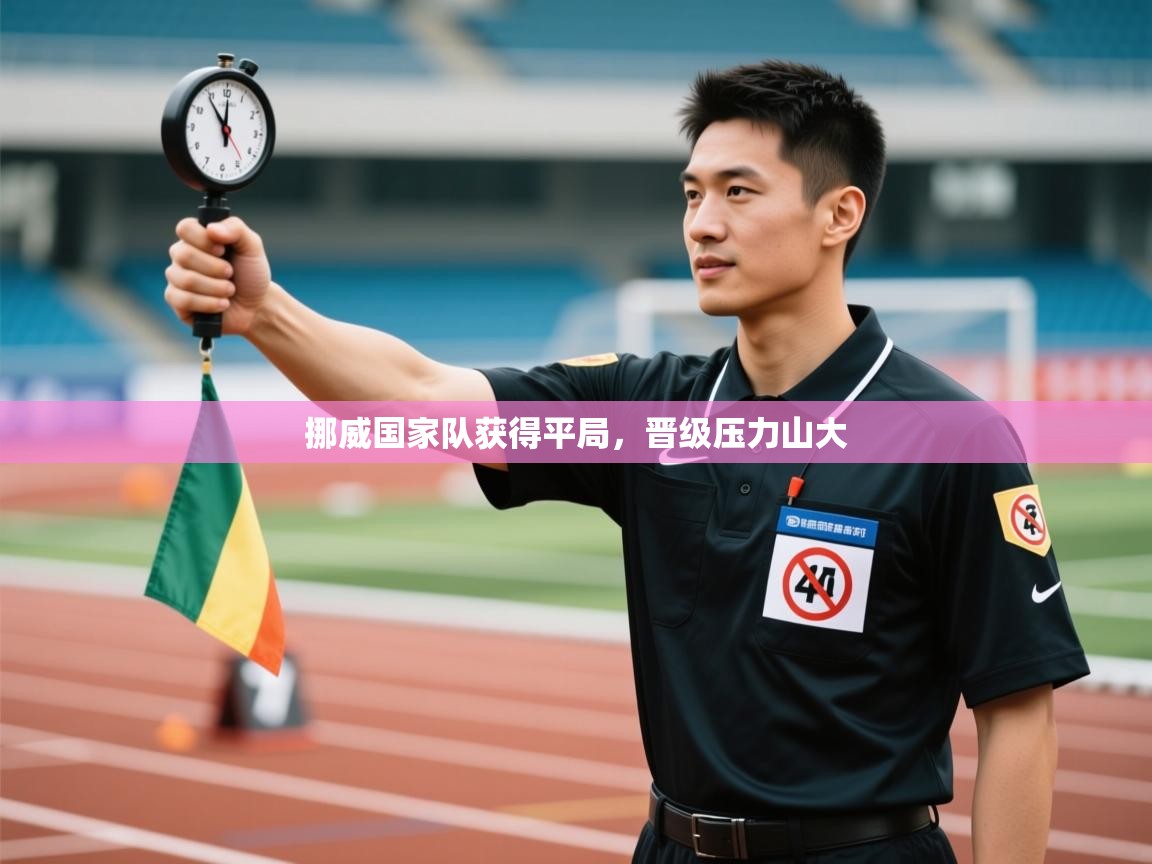 开云体育忘记密码找回-挪威国家队获得平局，晋级压力山大  第4张